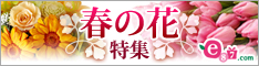 e87.com(����C�C�n�i)