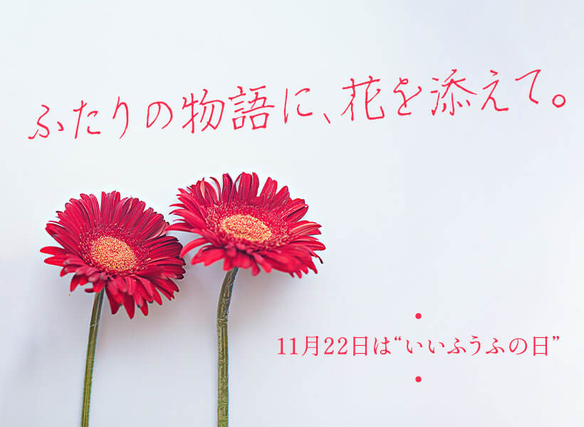 11.22 いいふうふの日