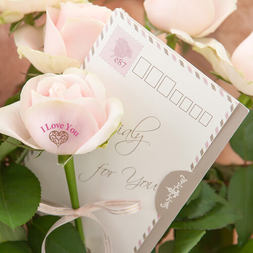 letter-rose