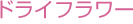 �h���C�t�����[