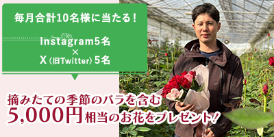 摘みたて季節のバラを含む5,000円相当のお花が毎月当たるキャンペーン