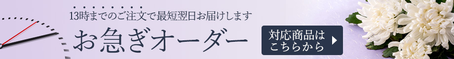 13時までのご注文で最短翌日お届け お急ぎオーダー
