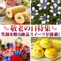 e87.com(���񥤥��ϥ�)��Ϸ�����ý�