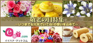 e87.com(����C�C�n�i)�h�V�̓����W