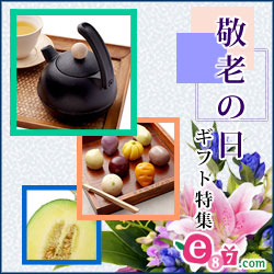 e87.com(����C�C�n�i)�h�V�̓����W