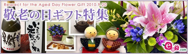 e87.com(����C�C�n�i)�h�V�̓����W