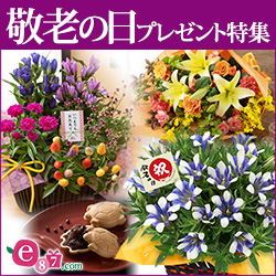 e87.com(千趣会イイハナ)