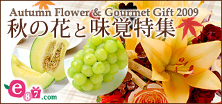 e87.com(千趣会イイハナ)秋の花と味覚ギフト・プレゼント
