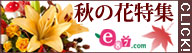 e87.com�ʳ���������񥤥��ϥʡˡڷ��Ӹ��������ȡ�