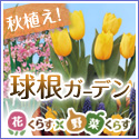 花くらす*野菜くらす