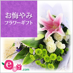 e87.com(千趣会イイハナ)