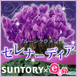 e87.com(千趣会イイハナ)