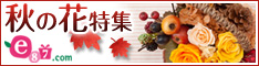 e87.com(千趣会イイハナ)