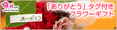 イイハナ･ドットコム e87.com(千趣会イイハナ)母の日特集 ありがとうタグ付きのお花