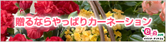 イイハナ･ドットコム e87.com(千趣会イイハナ)母の日特集 贈るならやっぱりカーネーション