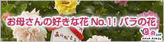 イイハナ･ドットコム e87.com(千趣会イイハナ)母の日特集 お母さんの好きな花No.1！バラの花