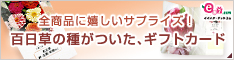 イイハナ･ドットコム e87.com(千趣会イイハナ)母の日特集 百日草の種付き！ギフトカード