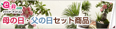 イイハナ･ドットコム e87.com(千趣会イイハナ)母の日特集 母の日・父の日ペアギフト