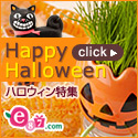 e87.com(���񥤥��ϥ�)