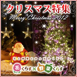 花くらす*野菜くらす