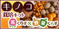 花くらす*野菜くらす