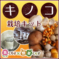 花くらす*野菜くらす