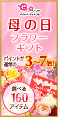 e87.com�ʳ���������񥤥��ϥʡ�