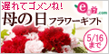 e87.com(株式会社千趣会イイハナ)
