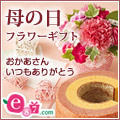 イイハナ・ドットコム e87.com(千趣会イイハナ)母の日特集