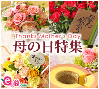 �C�C�n�i��h�b�g�R�� e87.com(����C�C�n�i)��̓����W