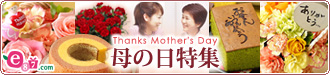 �C�C�n�i��h�b�g�R�� e87.com(����C�C�n�i)��̓����W