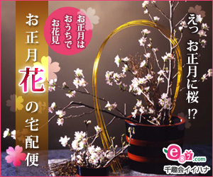 e87.com(千趣会イイハナ)