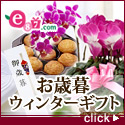 e87.com(����C�C�n�i)���Ε�E�E�B���^�[�M�t�g���W