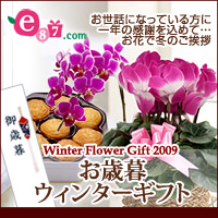 e87.com(千趣会イイハナ)お歳暮・ウィンターギフト