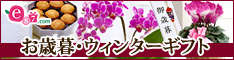 e87.com(千趣会イイハナ)お歳暮・ウィンターギフト特集