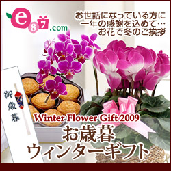 e87.com(千趣会イイハナ)お歳暮・ウィンターギフト