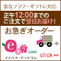 e87.com(千趣会イイハナ)