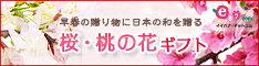 e87.com(株式会社千趣会イイハナ)