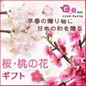e87.com(千趣会イイハナ)桜・桃特集