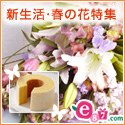 e87.com(千趣会イイハナ)新生活・入園・卒業・春のお祝い