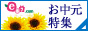 e87.com(千趣会イイハナ)