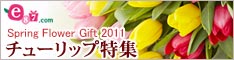 e87.com(千趣会イイハナ)チューリップ特集