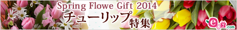 e87.com(千趣会イイハナ)