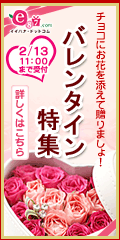 e87.com(株式会社千趣会イイハナ)