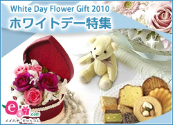 e87.com(CCni)zCgf[W
