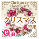 e87.com(千趣会イイハナ)