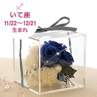 いて座 11/22〜12/21生まれ