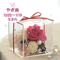 �€�� 12/22�`1/19���܂�