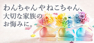 ����������l�R�����A�y�b�g�̂�����݂�