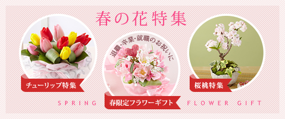 �t�̉ԓ��W